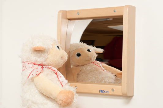 Miroir déformant convexe